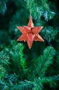 Christmas star ornament hanging on Christmas tree Royalty Free Stock Photo