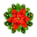 Christmas Star-poinsettia with fir branches.