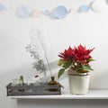 Christmas star, red poinsettia on a white fireplace with a figurine of an angel Royalty Free Stock Photo