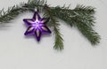 Christmas star on Christmas tree green branch, on white background Royalty Free Stock Photo
