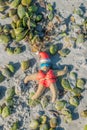 Christmas Starfish bathes in the sun on New Smyrna Beach, Florida