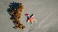 Christmas starfish sunbathes next to seaweed on New Smyrna Beach, Florida