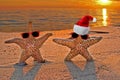 Christmas starfish on sunset beach Royalty Free Stock Photo