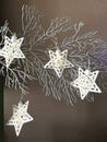 Christmas starlights on silver branch Royalty Free Stock Photo
