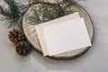 Christmas stationery. Blank greeting card, invitation mockup on cut wooden round board. Green pine tree branch in