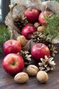 Christmas still life with apples and pine cones Royalty Free Stock Photo