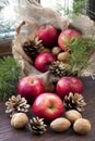 Christmas still life with apples, walnuts and pine cones on wooden window Royalty Free Stock Photo