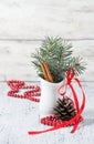 Christmas still life with branches of tree, pinecone and cinnamon Royalty Free Stock Photo