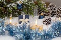 Christmas still life is with snow. Royalty Free Stock Photo