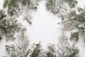 Christmas still life. Spruce branches form a frame with white copespace in the middle