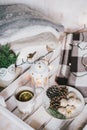 Christmas still life with tea, lights, cones and cookies Royalty Free Stock Photo