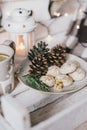Christmas still life with tea, lights, cones and cookies Royalty Free Stock Photo