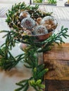 Christmas still life. Vase with Christmas balls and pine branches Royalty Free Stock Photo