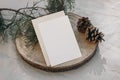 Christmas still life. Vertical greeting card, invitation mockup on cut wooden round board. Green pine tree branch in