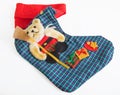 Christmas stocking. Royalty Free Stock Photo
