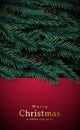 Christmas Stories template with Pine Branches Background.