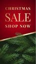 Christmas Stories Vector Advertising Card or Poster. Pine Branches Background with Sale Promo Text Copy Space and