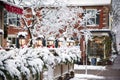 Christmas street decoration at Queen Street in town Niagara on the Lake Royalty Free Stock Photo