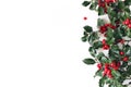 Christmas styled composition, decorative frame, banner. Holly tree green leaves, red berries and branches isolated on