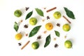 Christmas styled stock composition. Tangerine citrus fruit and leaves, cinnamon sticks, anise stars and little apples on