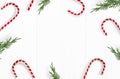 Christmas styled stock photo. White wooden background with candy cane decorations, evergreen juniperus branches and