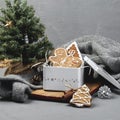 Christmas shaped gingerbread cookies packed in a gift tin box. Against the background of a gray wool knitted sweater Royalty Free Stock Photo