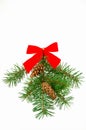 Christmas swag Royalty Free Stock Photo