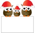 Christmas a sweet little owls family holding a sign Royalty Free Stock Photo