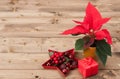 Christmas Symbol. Poinsettia Flower. Gift Box Royalty Free Stock Photo