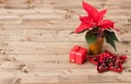 Christmas Symbol. Poinsettia Flower. Gift Box Royalty Free Stock Photo