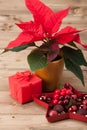 Christmas Symbol. Poinsettia Flower. Gift Box Royalty Free Stock Photo