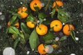 Christmas symbols - fir-tree and tangerines on a dark wooden background. Snow. Top view. Food background Royalty Free Stock Photo