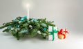 Christmas table decoration banner. Green fir branches candle gift boxes blue balls lights isolated white background