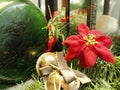 Christmas table decorations.. green vase, red poinsettia flower,, bells, evergreen branch Royalty Free Stock Photo