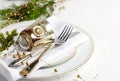 Christmas table setting. Holiday background Royalty Free Stock Photo