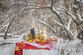 Christmas table in winter forest Royalty Free Stock Photo