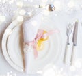 Christmas Tableware set Royalty Free Stock Photo