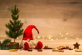 Christmas tad sitting next to fir tree and x-mas decoration in f Royalty Free Stock Photo