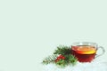 Christmas tea in transparent cup on light background with copy space Royalty Free Stock Photo