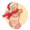 Christmas teddy baby in sock