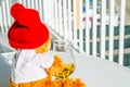 Christmas teddy bear with glass of single malt whiskey, symbol o Royalty Free Stock Photo