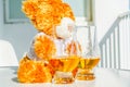 Christmas teddy bear with glass of single malt whiskey, symbol o Royalty Free Stock Photo