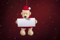 Christmas teddy bear with wishes card