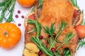 Christmas or Thanksgiving duck baked for traditional festive dinner with apples, rosemary, grapefruits on white Royalty Free Stock Photo