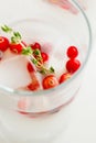 Christmas and thanksgiving nonalcoholic cocktail white coconut margarita or punch with cranberries and thyme close-up