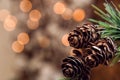 Close up. Spruce branch with small fir cones. Blurry lights of garland on the background. Royalty Free Stock Photo