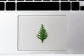 Christmas theme. Little new year pine tree laying on the touchpad of laptop. Royalty Free Stock Photo