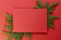 Christmas theme. Red background with green branches of spruce. Royalty Free Stock Photo