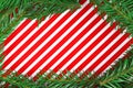 Christmas theme. Red-white striped background. Spruce branch. Copy space. Postcard. Christmas tree. Fir branches Royalty Free Stock Photo