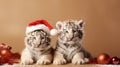 Christmas tigers in santa costume. festive holiday animal Royalty Free Stock Photo